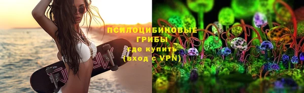 тгк Козловка