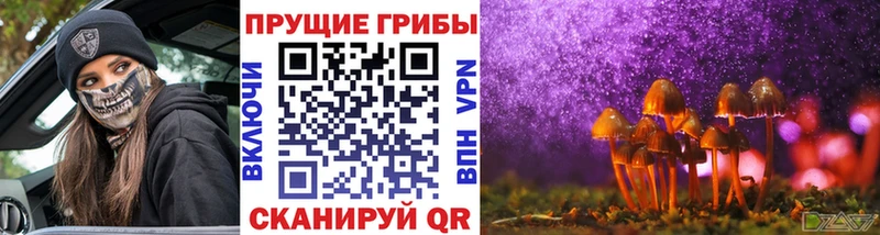 Псилоцибиновые грибы мухоморы  Красновишерск 